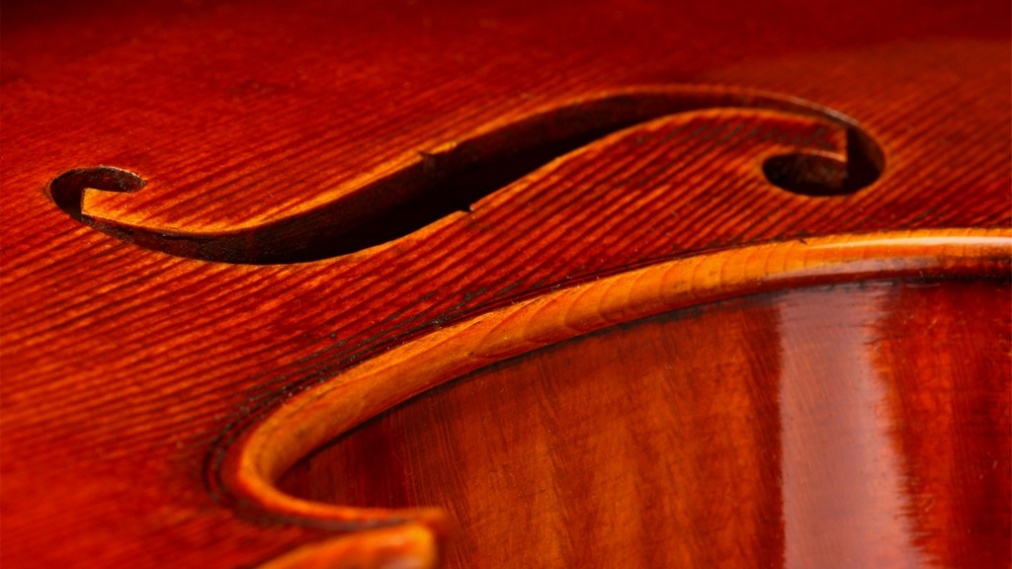 Geigenbau Detailfotografie Geige lackiert - Staatliche Musikinstrumentenbauschule Mittenwald
